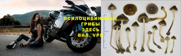 Альфа ПВП Армянск