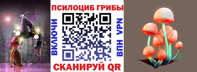 Псилоцибиновые грибы Psilocybe Бологое
