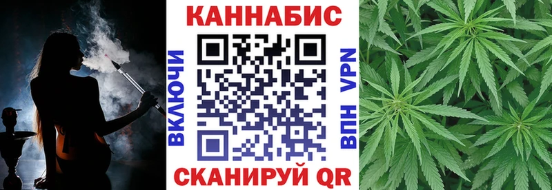 продажа наркотиков Бологое darknet клад Каннабис SATIVA & INDICA